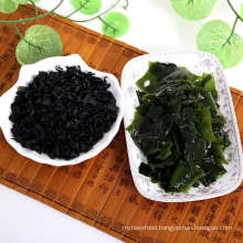 Hot Sell Organic Dehydrated Wakame Seaweed